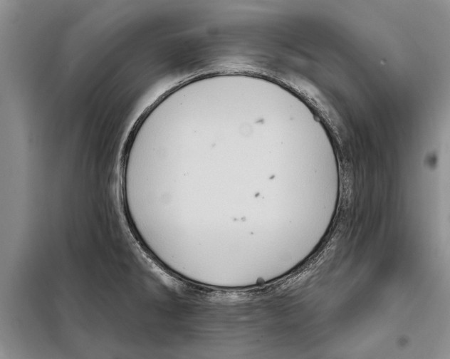 X0000097871286200804110914