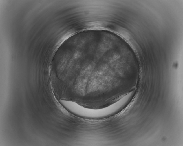X0000097871289200804110914