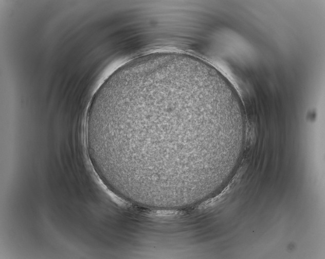 X0000097871290200804110914
