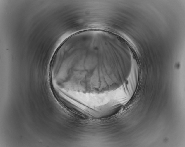 X0000097871291200804110914