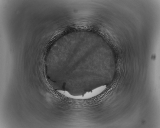 X0000097871297200804110913