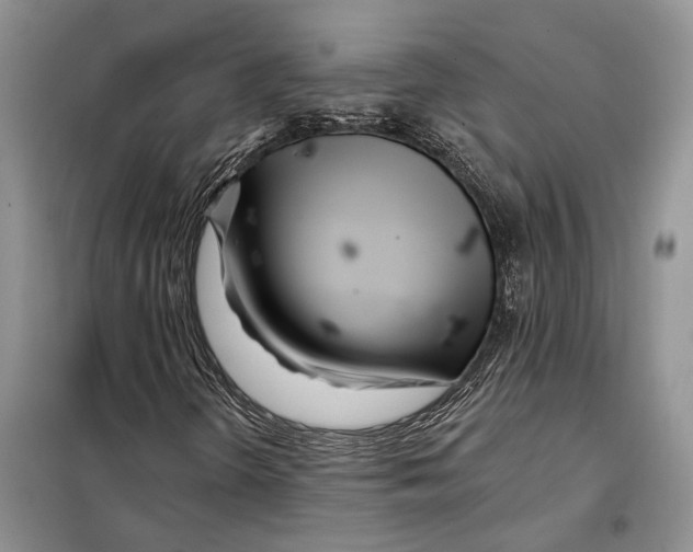 X0000097871298200804110913
