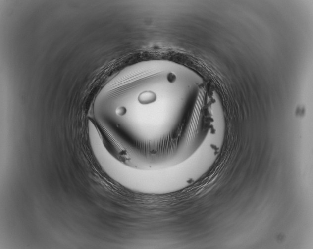 X0000097871299200804110913