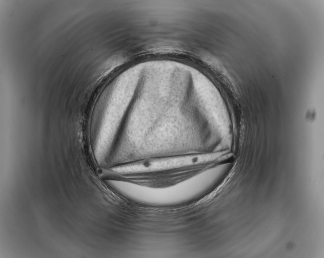 X0000097871305200804110914