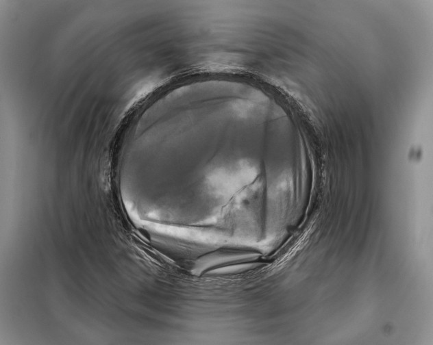 X0000097871306200804110914