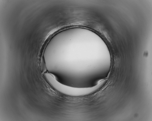 X0000097871308200804110914