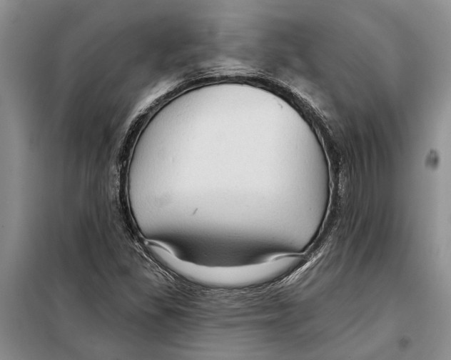 X0000097871309200804110914