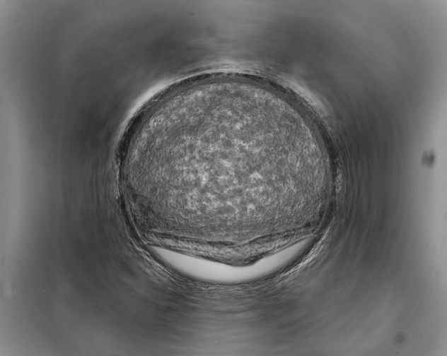 X0000097871310200804110914