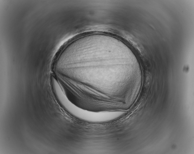 X0000097871312200804110914