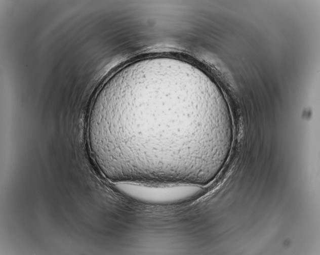 X0000097871313200804110914