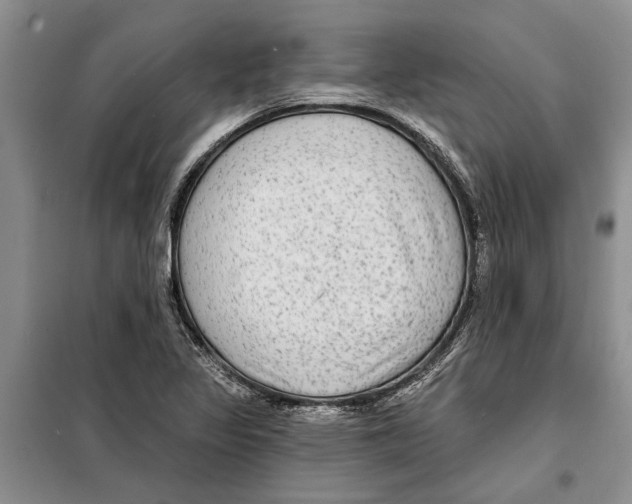 X0000097871317200804110914