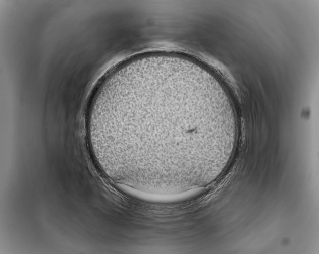 X0000097871318200804110914