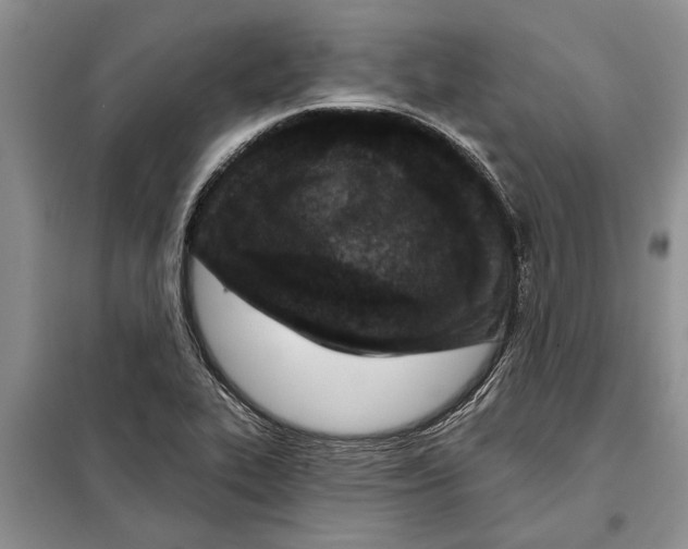 X0000097871319200804110914