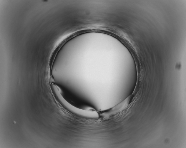 X0000097871320200804110914