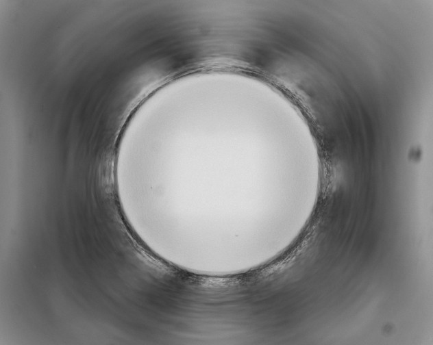 X0000097871322200804110914
