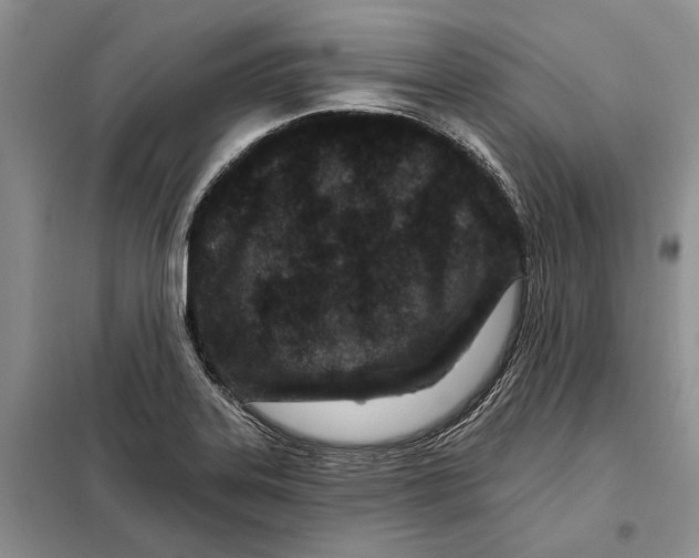 X0000097871323200804110914