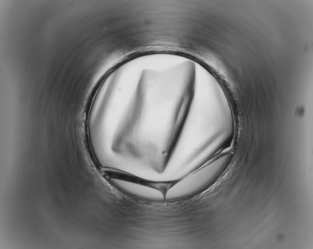 X0000097871325200804110914