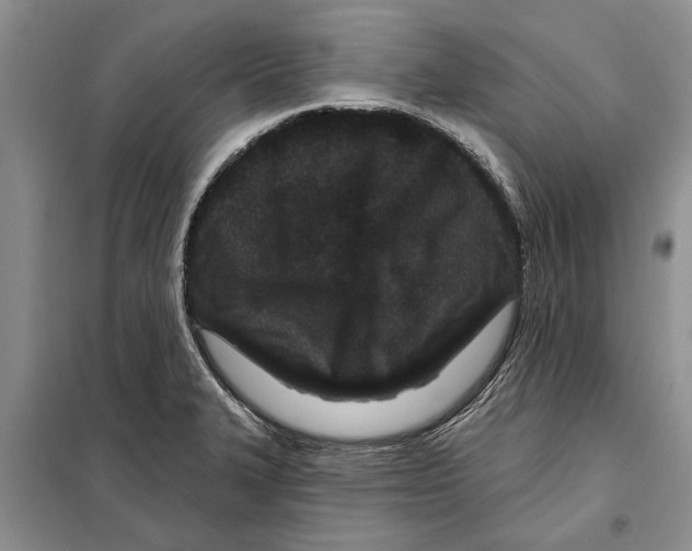 X0000097871327200804110914