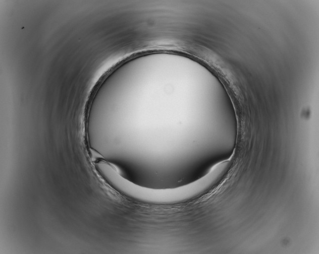 X0000097871328200804110914