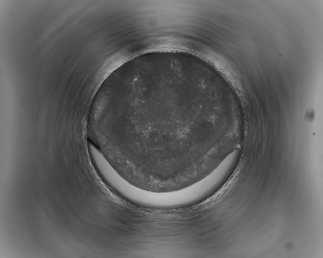X0000097871329200804110914