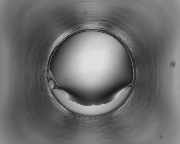X0000097871330200804110914