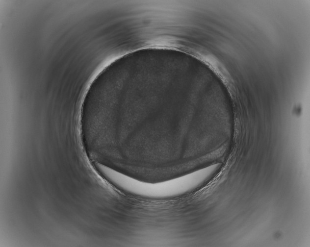 X0000097871331200804110914