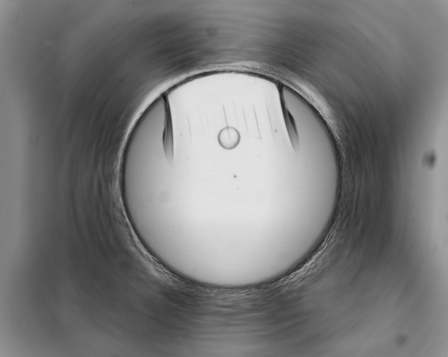 X0000097871332200804110914