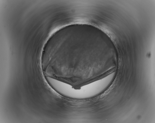 X0000097871334200804110914