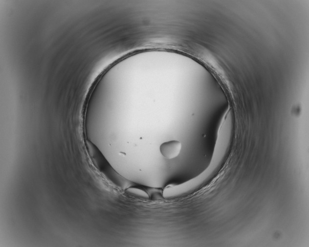 X0000097871336200804110914