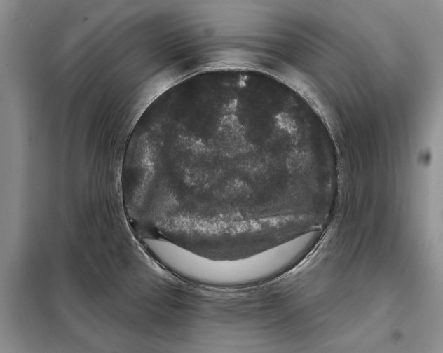 X0000097871337200804110914