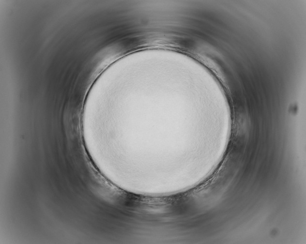 X0000097871338200804110914