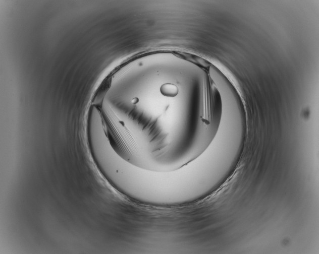 X0000097871341200804110914