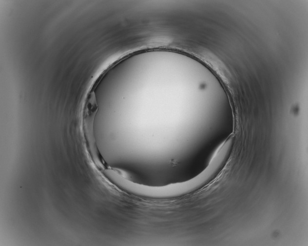 X0000097871342200804110914