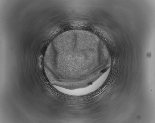 X0000097871346200804110913