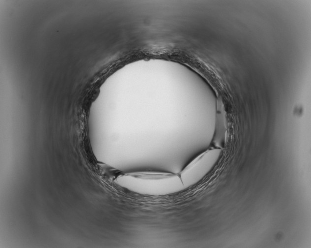 X0000097871349200804110913