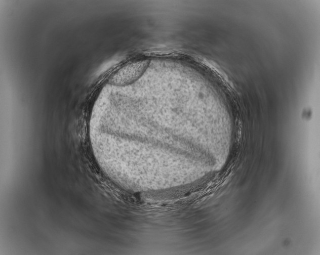 X0000097871350200804110913
