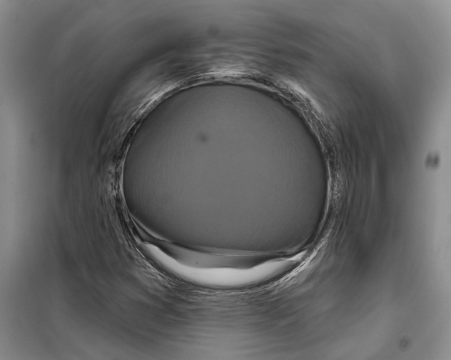 X0000097871353200804110913