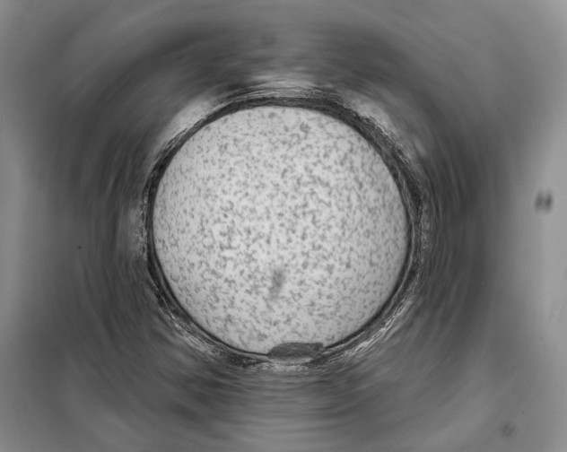 X0000097871354200804110913