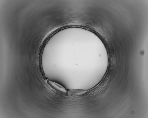 X0000097871356200804110913