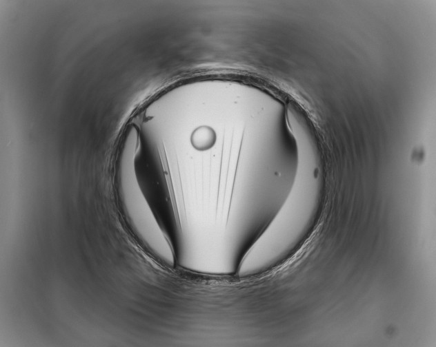 X0000097871357200804110913