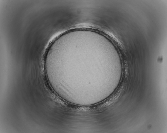 X0000097871358200804110913