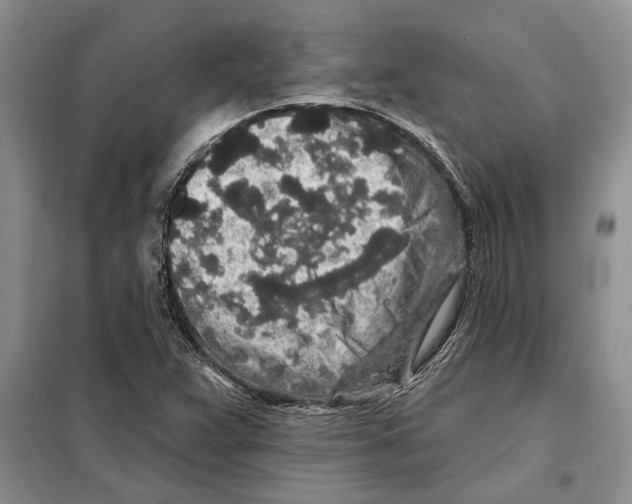 X0000097871359200804110913