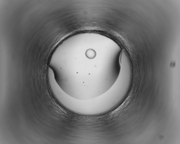 X0000097871361200804110913