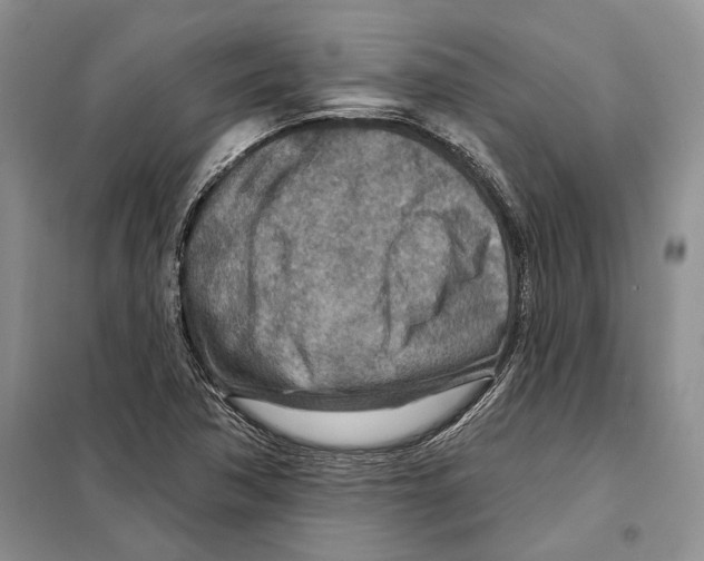 X0000097871362200804110913