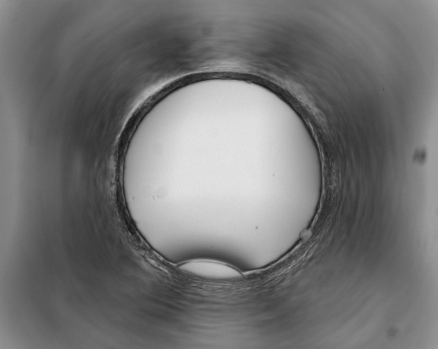 X0000097871364200804110913