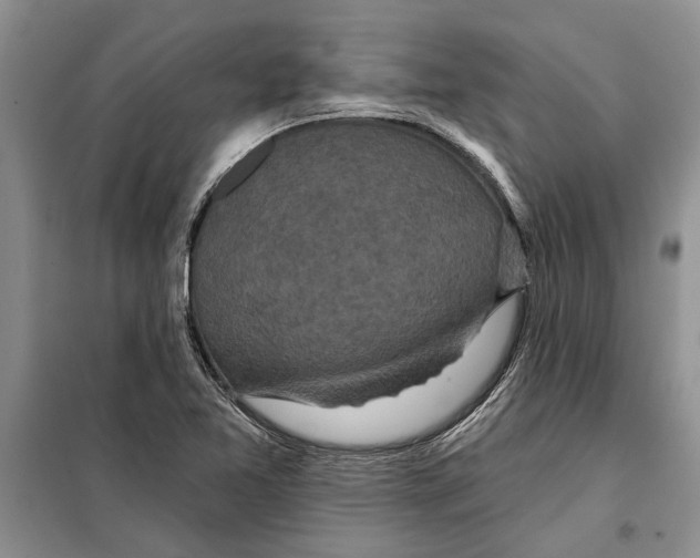 X0000097871365200804110913