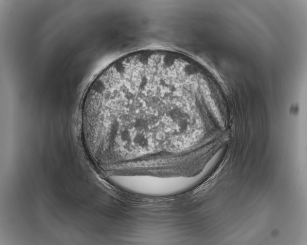 X0000097871367200804110913