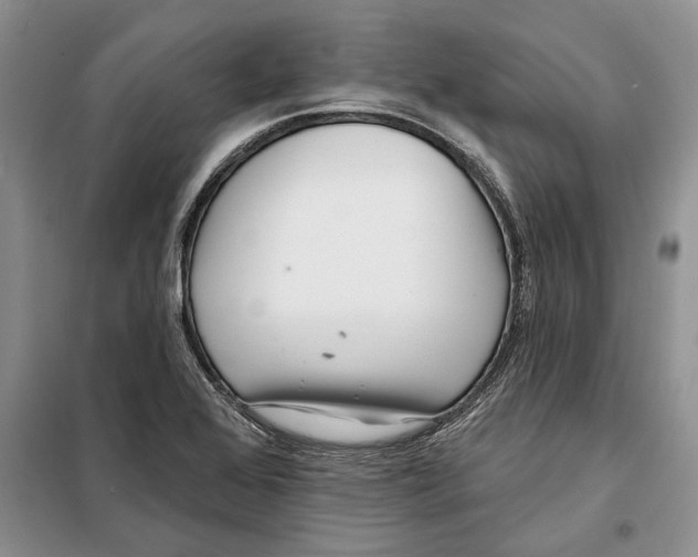 X0000097871368200804110913