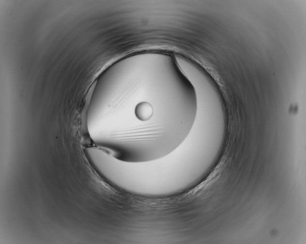 X0000097871369200804110913