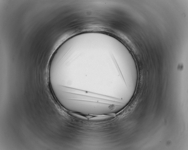 X0000097871370200804110913